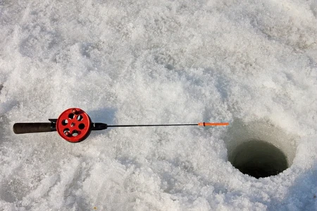 winter activity