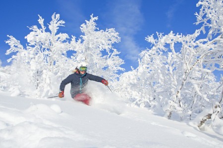 Winter activities north värmland near Branäs including skiing and snowmobiling