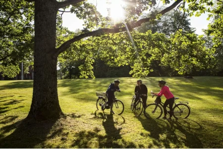Cycling through nature in Northern Värmland near Branäs

