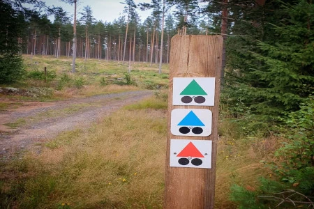 mtb through nature in Northern Värmland near Branäs