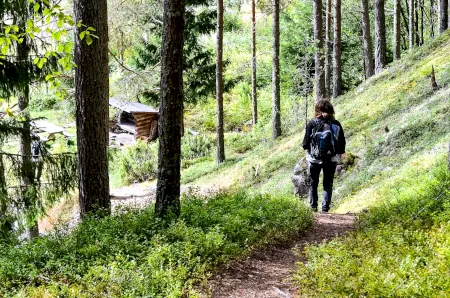 hiking trails in North Värmland-fämtleden-Branäs
