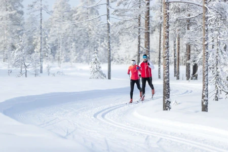 Cross-country skiing Northern Värmland near Sysslebäck