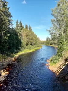 activities in north värmland - Wärdshuset Klarälvdalen