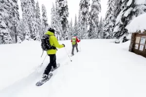activities in north värmland - Wärdshuset Klarälvdalen - Snowshoe Hiking